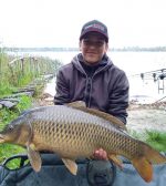 Методні пелети, флет метод мікс Mulberry Florentino Шовковиця Carp Drive 5 в 1 - Зображення 4