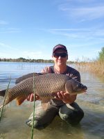 Флет метод мікс Monstr Crab (Монстр краб) Carp Drive рибна серія 5 в 1 - Зображення 4