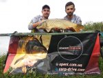 Методні пелети, флет метод мікс Plum Сливовий Carp Drive 5 в 1 - Зображення 4