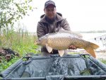 Методні пелети, флет метод мікс Halibut Krill (Халібут Кріль) Carp Drive 5 в 1 - Зображення 4