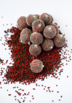 ПВА сітка Carp Drive для риболовлі у холодній воді 32 мм розмотка 10 метрів - Зображення 3