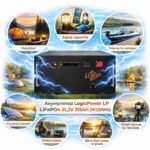 Акумулятор LogicPower LP LiFePO4 51.2V 315Ah (16128Wh) (BMS JK 200A/100А) RM RS485/CAN BL